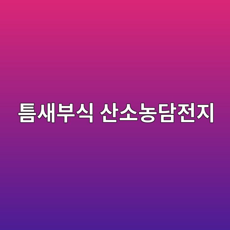 ed8b88ec8388ebb680ec8b9d ec82b0ec868ceb868deb8bb4eca084eca780 1785663667