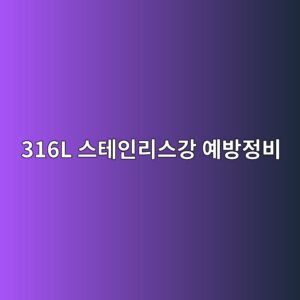 316l ec8aa4ed858cec9db8eba6acec8aa4eab095 ec9888ebb0a9eca095ebb984 1788328925