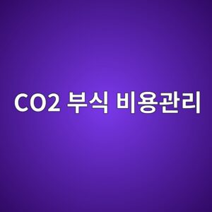 co2 ebb680ec8b9d ebb984ec9aa9eab480eba6ac 1788330120