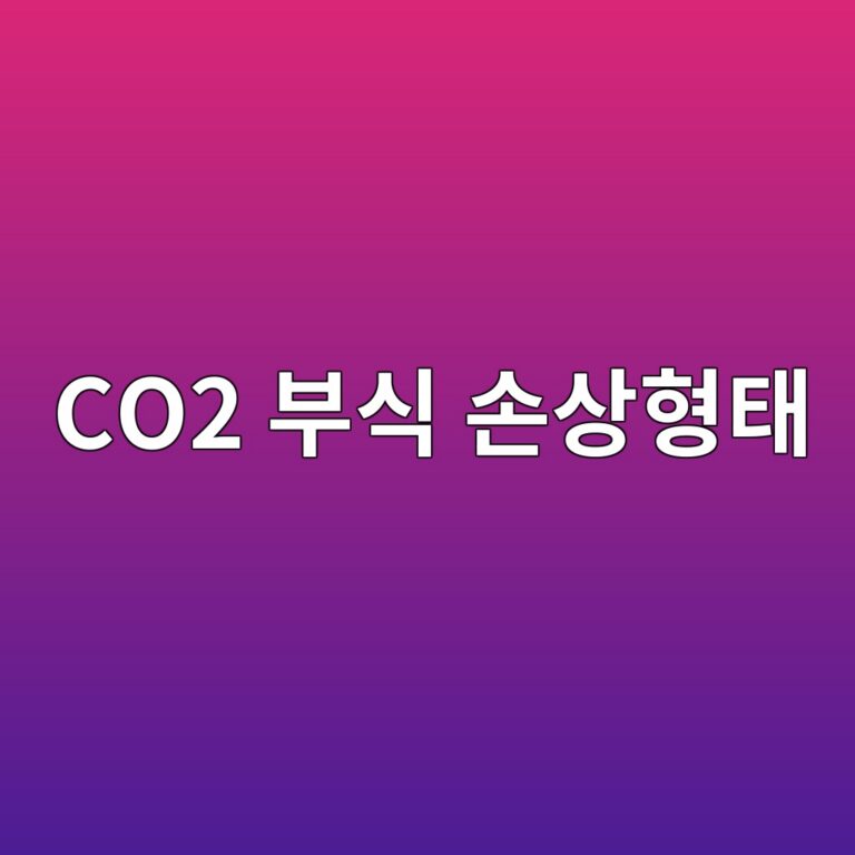 co2 ebb680ec8b9d ec8690ec8381ed9895ed839c 1788326484