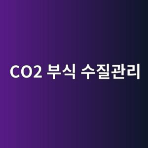 co2 ebb680ec8b9d ec8898eca788eab480eba6ac 1788327731
