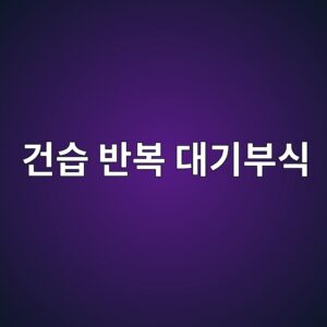 eab1b4ec8ab5 ebb098ebb3b5 eb8c80eab8b0ebb680ec8b9d 1788266841