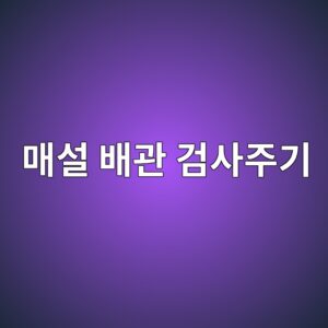 매설 배관의 검사 위치와 점검 주기 설정 방법 4 eba7a4ec84a4 ebb0b0eab480 eab280ec82aceca3bceab8b0 1788326727