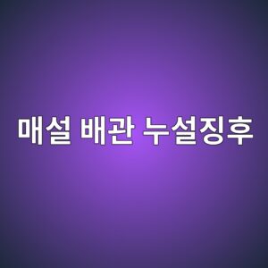 eba7a4ec84a4 ebb0b0eab480 eb8884ec84a4eca795ed9b84 1788327841