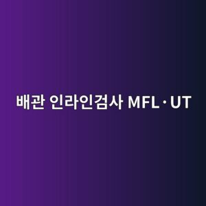 인라인검사 MFL과 UT의 금속손실 검출 특성 비교 1 ebb0b0eab480 ec9db8eb9dbcec9db8eab280ec82ac mflc2b7ut 1788266810