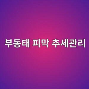 부동태 피막의 형성과 파괴 데이터를 기록하고 추세를 관리하는 방법 2 ebb680eb8f99ed839c ed94bceba789 ecb694ec84b8eab480eba6ac 1788328748