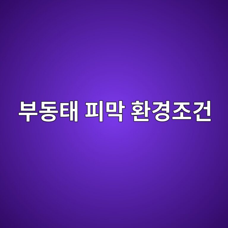 ebb680eb8f99ed839c ed94bceba789 ed9998eab2bdeca1b0eab1b4 1788326652