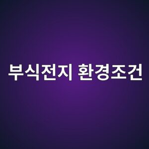 ebb680ec8b9deca084eca780 ed9998eab2bdeca1b0eab1b4 1788326646
