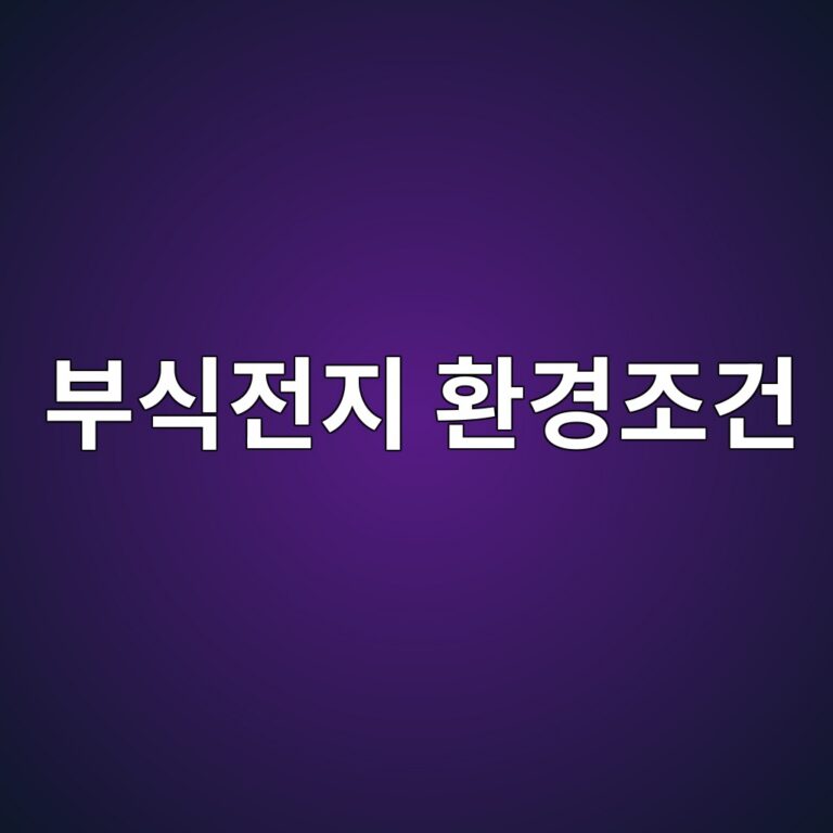 ebb680ec8b9deca084eca780 ed9998eab2bdeca1b0eab1b4 1788326646