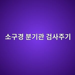 ec868ceab5aceab2bd ebb684eab8b0eab480 eab280ec82aceca3bceab8b0 1788326735