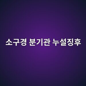ec868ceab5aceab2bd ebb684eab8b0eab480 eb8884ec84a4eca795ed9b84 1788327850