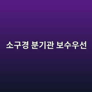 소구경 분기관 손상 발견 후 보수 우선순위 4 ec868ceab5aceab2bd ebb684eab8b0eab480 ebb3b4ec8898ec9ab0ec84a0 1788328842