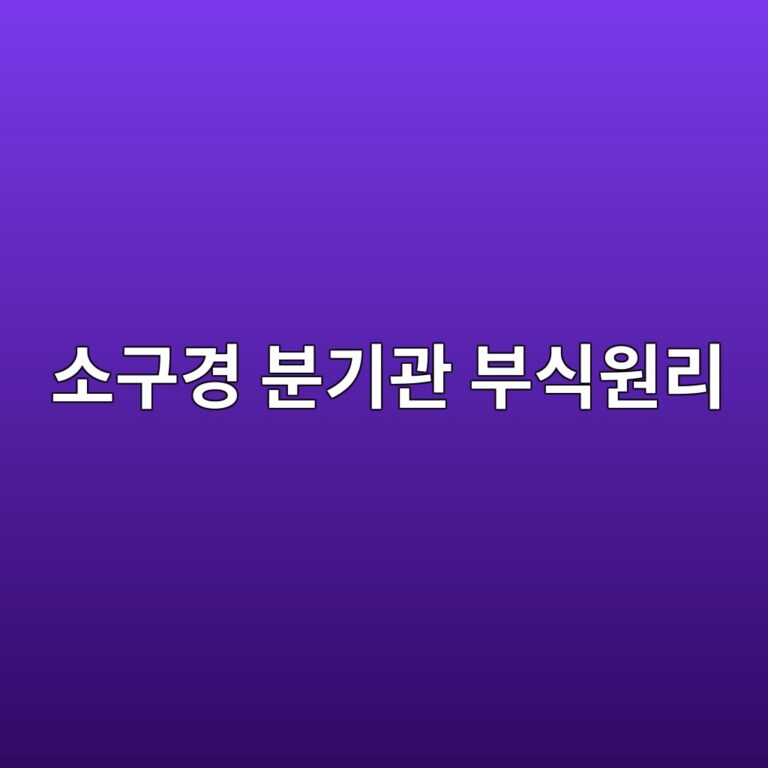 ec868ceab5aceab2bd ebb684eab8b0eab480 ebb680ec8b9dec9b90eba6ac 1788325492