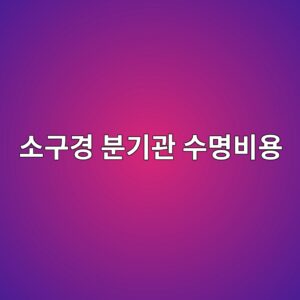 소구경 분기관의 수명주기비용을 줄이는 관리 전략 1 ec868ceab5aceab2bd ebb684eab8b0eab480 ec8898ebaa85ebb984ec9aa9 1788330098
