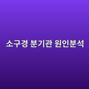 ec868ceab5aceab2bd ebb684eab8b0eab480 ec9b90ec9db8ebb684ec849d 1788328987
