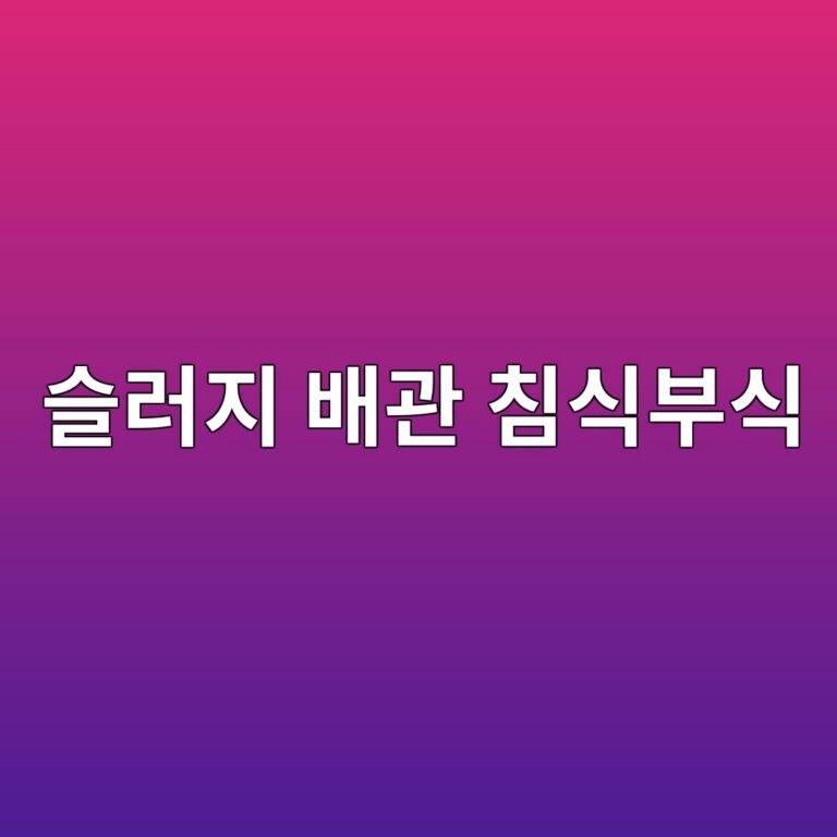 ec8aaceb9faceca780 ebb0b0eab480 ecb9a8ec8b9debb680ec8b9d 1788267065