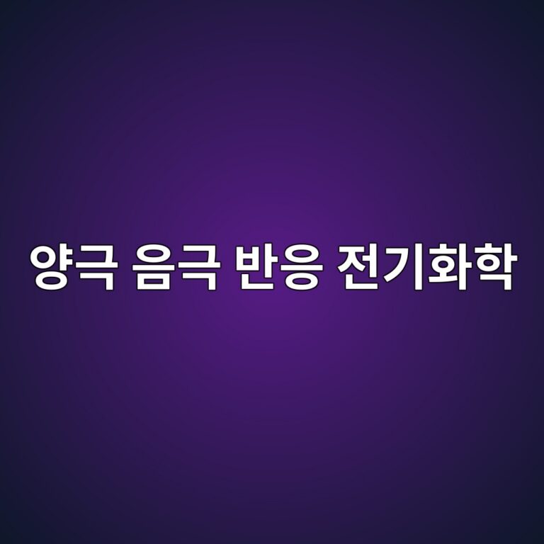 ec9691eab7b9 ec9d8ceab7b9 ebb098ec9d91 eca084eab8b0ed9994ed9599 1788325402