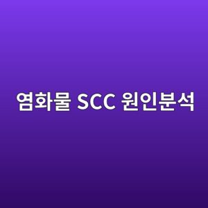 ec97bced9994ebacbc scc ec9b90ec9db8ebb684ec849d 1788328902