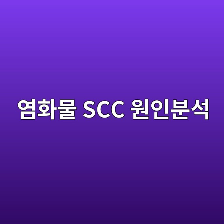 ec97bced9994ebacbc scc ec9b90ec9db8ebb684ec849d 1788328902