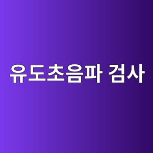 유도초음파 GWT로 장거리 배관을 스크리닝할 때의 한계 3 ec9ca0eb8f84ecb488ec9d8ced8c8c eab280ec82ac 1788266911