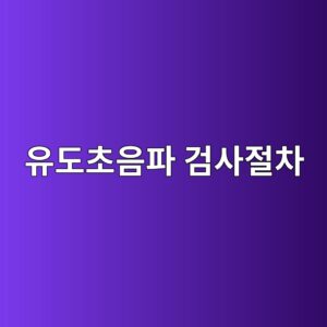 유도초음파 장거리검사를 단계별로 수행하는 방법 2 ec9ca0eb8f84ecb488ec9d8ced8c8c eab280ec82aceca088ecb0a8 1788325611