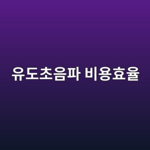 유도초음파 장거리검사 비용을 줄이면서 신뢰도를 높이는 방법 4 ec9ca0eb8f84ecb488ec9d8ced8c8c ebb984ec9aa9ed9aa8ec9ca8 1788330084