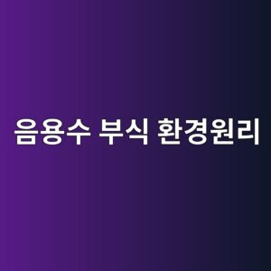 음용수 환경의 부식 환경과 주요 반응 원리 3 ec9d8cec9aa9ec8898 ebb680ec8b9d ed9998eab2bdec9b90eba6ac 1788270033