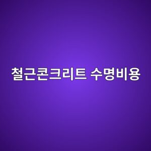 철근콘크리트 구조물의 수명주기비용을 줄이는 관리 전략 1 ecb2a0eab7bcecbd98ed81aceba6aced8ab8 ec8898ebaa85ebb984ec9aa9 1788330101