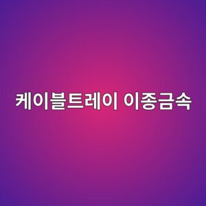 케이블트레이에서 아연도금강과 스테인리스 접촉부식 예방 1 ecbc80ec9db4ebb894ed8ab8eba088ec9db4 ec9db4eca285eab888ec868d 1788266959