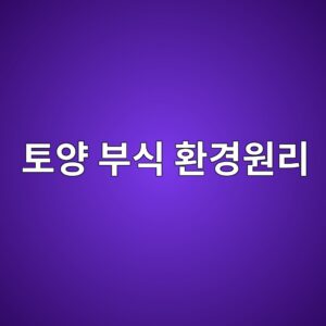 토양 매설 환경의 부식 환경과 주요 반응 원리 4 ed86a0ec9691 ebb680ec8b9d ed9998eab2bdec9b90eba6ac 1788270033