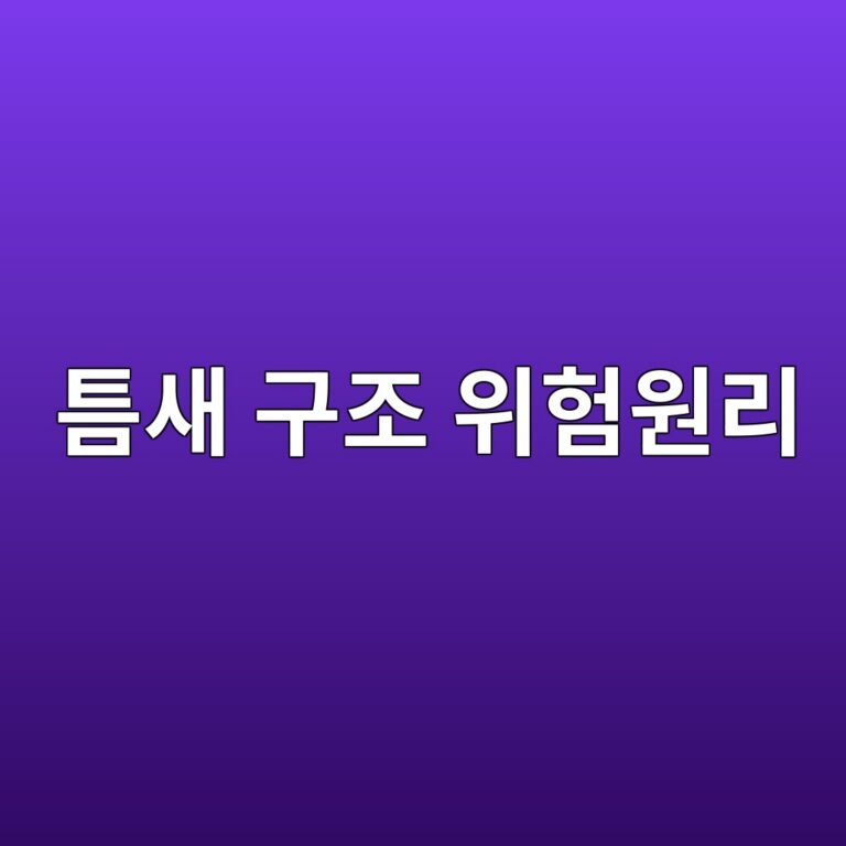 ed8b88ec8388 eab5aceca1b0 ec9c84ed9798ec9b90eba6ac 1788325377