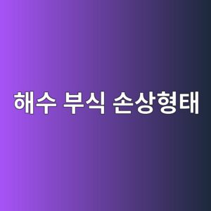 해수 환경에 노출된 재료의 손상 형태 1 ed95b4ec8898 ebb680ec8b9d ec8690ec8381ed9895ed839c 1788325636