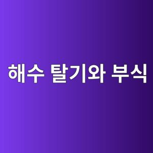 해수 탈기설비 성능이 주입배관 부식에 미치는 영향 4 ed95b4ec8898 ed8388eab8b0ec9980 ebb680ec8b9d 1788266903