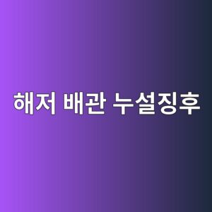 해저 파이프라인 누설 전 나타나는 위험 신호 4 ed95b4eca080 ebb0b0eab480 eb8884ec84a4eca795ed9b84 1788327842