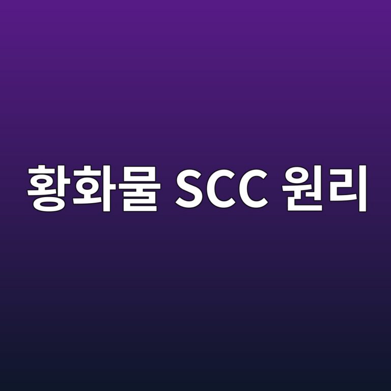 ed99a9ed9994ebacbc scc ec9b90eba6ac 1788269139