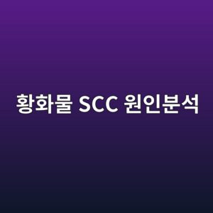 ed99a9ed9994ebacbc scc ec9b90ec9db8ebb684ec849d 1788328906