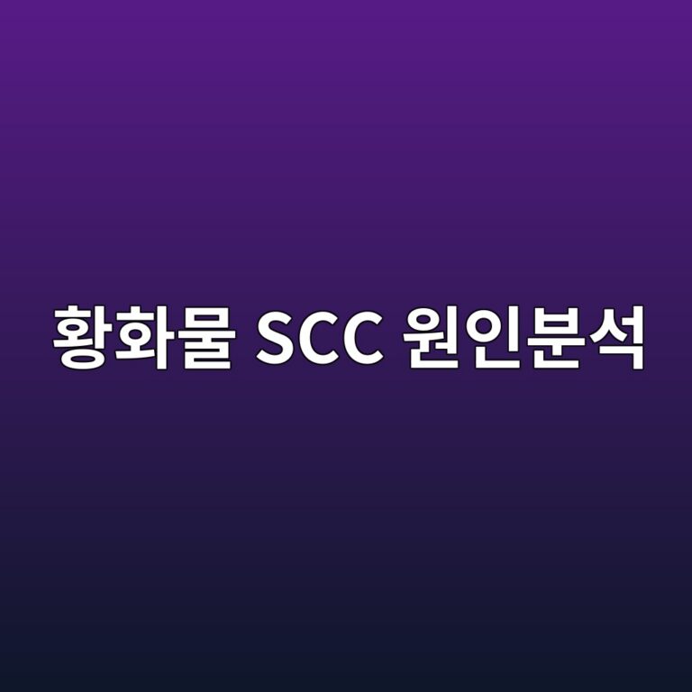 ed99a9ed9994ebacbc scc ec9b90ec9db8ebb684ec849d 1788328906