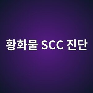 ed99a9ed9994ebacbc scc eca784eb8ba8 1788325556