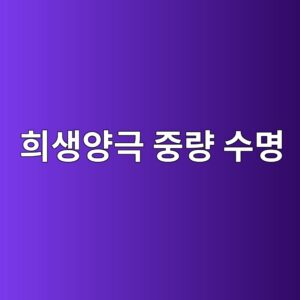 희생양극의 소요 중량과 설계수명을 산정하는 기본 절차 1 ed9dacec839dec9691eab7b9 eca491eb9f89 ec8898ebaa85 1788266630