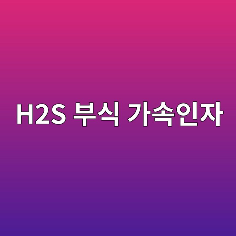 h2s ebb680ec8b9d eab080ec868dec9db8ec9e90 1788325512