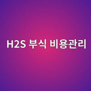 h2s ebb680ec8b9d ebb984ec9aa9eab480eba6ac 1788330121