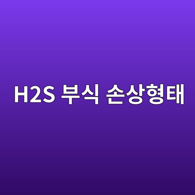 h2s ebb680ec8b9d ec8690ec8381ed9895ed839c 1788326485