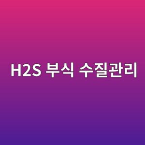 h2s ebb680ec8b9d ec8898eca788eab480eba6ac 1788327732