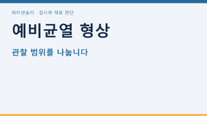 예비균열 형상