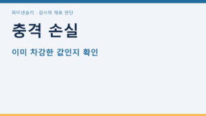 충격 손실
